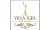 hotelvillaigea.com