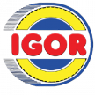 igorpneumaticitorino.com