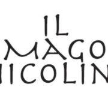 ilmagonicolino.it