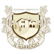 ilmarrugio.com