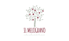 ilmelograno.online