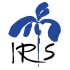 irisof.it