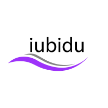 iubidu.com