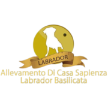 labradorgoldenbasilicata.com