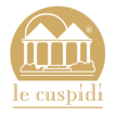 lecuspidi.com