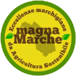 magnamarche.it