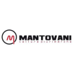 mantovaniauto.com