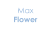 maxflowersanmauro.com