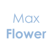 maxflowersanmauro.com