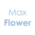 maxflowersanmauro.com