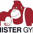 mistergym.it