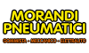 morandipneumatici.com