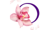 orchidee-thairestaurant.ch