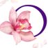 orchidee-thairestaurant.ch