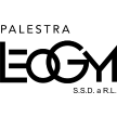 palestraleogym.com