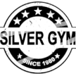 palestrasilvergym.com