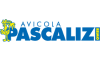 pascalizisrl.com