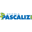 pascalizisrl.com