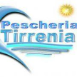 pescheriatirrenia.it