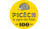 picech.com