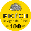 picech.com