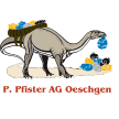 ppfister.ch