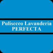 puliseccoperfecta.it