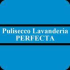 puliseccoperfecta.it