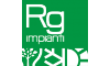 rgimpiantisrl.com