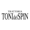 ristorantetonidelspin.com