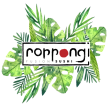 roppongicesena.com