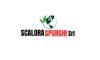 scaloraspurghisrl.com