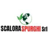 scaloraspurghisrl.com