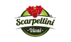 scarpellinivivai.it