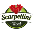 scarpellinivivai.it