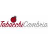 tabacchicambria.com