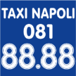 taxinapoli.it