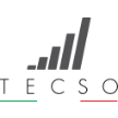 tecsosport.com