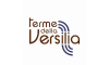 termedellaversilia.com