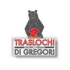 traslochigrigore.it