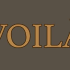 voilacafedublin.com